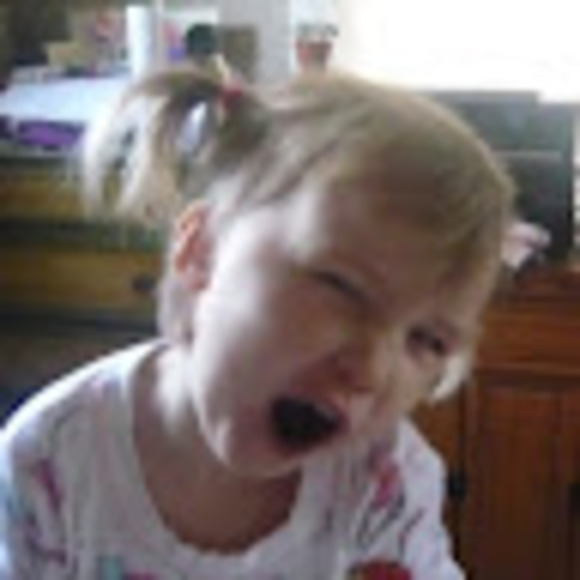 Meet your Posher, Sasha - Picture 1 of 1